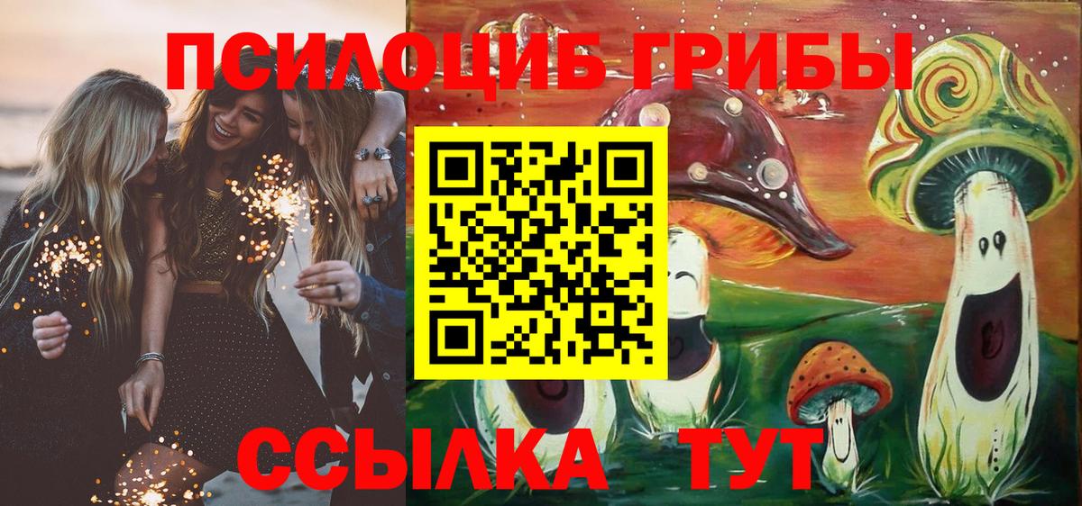 Медногорск  Псилоцибиновые грибы Cubensis  Вход с VPN  купить закладку  Галлюциногенные грибы мухоморы 
